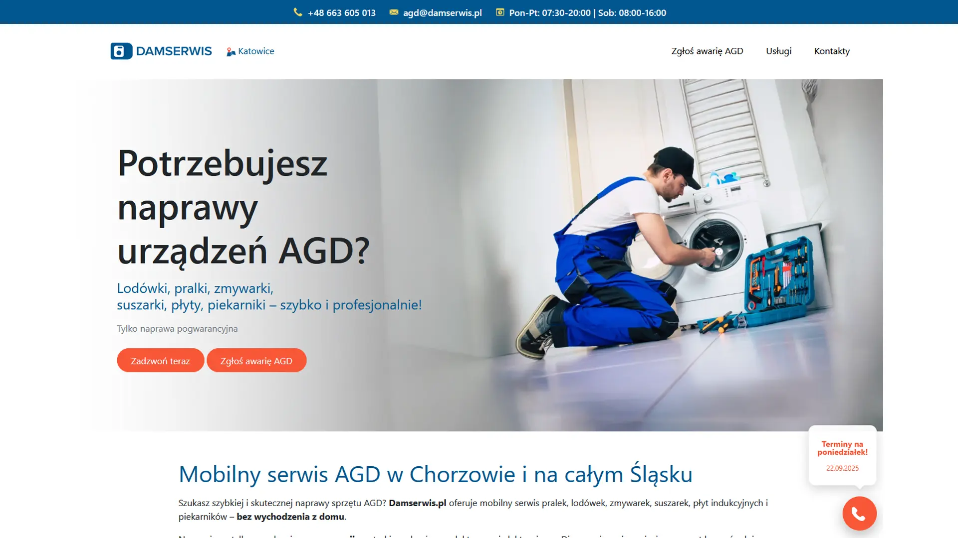 Damserwis — homepage